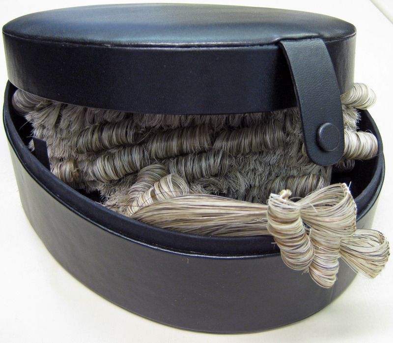 Oval Wig Case - view 1